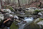 Click to see YIMG_0537.JPG
