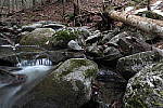 Click to see YIMG_0547.JPG