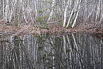 Click to see YIMG_0602.JPG