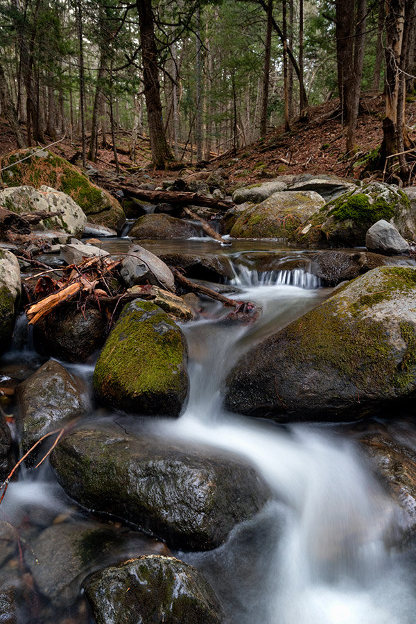Canon EOS M6 Review: Field Test -- Gallery Image