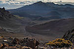 Click to see Y-JG-458A0821-EDIT.JPG