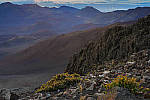 Click to see Y-JG-458A0834-EDIT.JPG