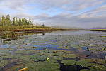 Click to see Y-JG-FT1-458A1540.JPG