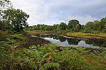 Click to see Y-JG-FT1-458A1585.JPG