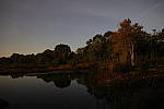 Click to see Y-JG-FT1-458A1958.JPG
