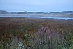 Click to see Y-JG-FT1-458A1988.JPG