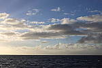 Click to see Y-WB-444A0779.JPG