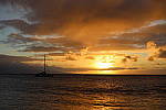 Click to see Y-WB-444A0803.JPG