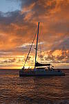 Click to see Y-WB-444A0849.JPG