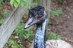 Click to see Y-WB-R10-IMG_0318.JPG