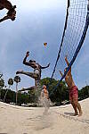 Click to see Y-WB-R10-IMG_0430.JPG