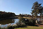 Click to see Y-WB-R3-0K1A1258.JPG