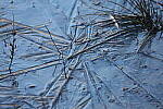Click to see Y-WB-R3-0K1A2786.JPG