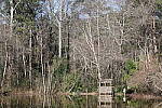 Click to see Y-WB-R3-0K1A2791.JPG