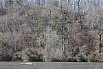 Click to see Y-WB-R3-0K1A3965.JPG