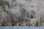 Click to see Y-WB-R3-0K1A4347.JPG