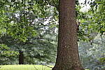 Click to see Y-WB-008A0117.JPG