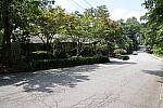 Click to see Y-WB-008A0124.JPG