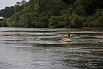 Click to see Y-WB-008A0460.JPG