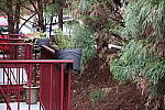 Click to see Y-WB-008A1022-ISO51200.JPG