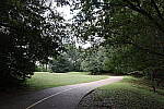 Click to see Y-WB-JPGvsHEIF-008A0980.JPG