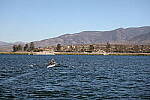 Click to see Y-JG-R6-II-BETA-0020.JPG