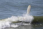 Click to see Y-JG-R6-II-BETA-2333.JPG