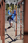 Click to see Y-WB-R6-II-BETA-BBD62410.JPG