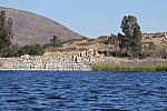 Click to see Y-WB-R6-II-BETA-BBD64020.JPG
