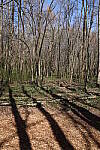 Click to see Y-WB-R6II-5O1A0058.JPG