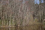 Click to see Y-WB-R6II-5O1A0059.JPG