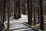 Click to see Y-WB-R6II-5O1A0064.JPG