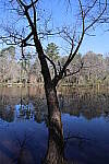 Click to see Y-WB-R6II-5O1A0065.JPG