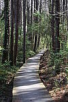 Click to see Y-WB-R6II-5O1A0128.JPG
