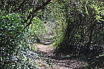 Click to see Y-WB-R6II-5O1A0145.JPG