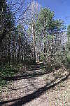 Click to see Y-WB-R6II-5O1A0151-Standard.JPG