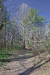 Click to see Y-WB-R6II-5O1A0152-HDR.JPG