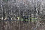 Click to see Y-WB-R6II-5O1A0156.JPG