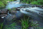 Click to see Y-EOS-R6-JG-0148.JPG