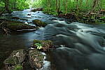 Click to see Y-EOS-R6-JG-0152.JPG