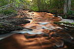 Click to see Y-EOS-R6-JG-0157.JPG
