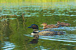 Click to see Y-EOS-R6-JG-0193-MOD.JPG
