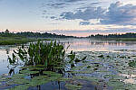 Click to see Y-EOS-R6-JG-0255-MOD.JPG