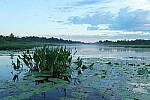 Click to see Y-EOS-R6-JG-0255.JPG