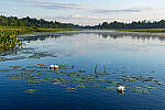 Click to see Y-EOS-R6-JG-0267-MOD.JPG