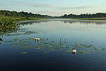 Click to see Y-EOS-R6-JG-0267.JPG