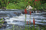 Click to see Y-EOS-R6-JG-0356-MOD.JPG