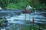 Click to see Y-EOS-R6-JG-0356.JPG