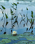 Click to see Y-EOS-R6-JG-1922-MOD.JPG