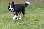 Click to see Y-EOS-R6-JG-2109-MOD.JPG